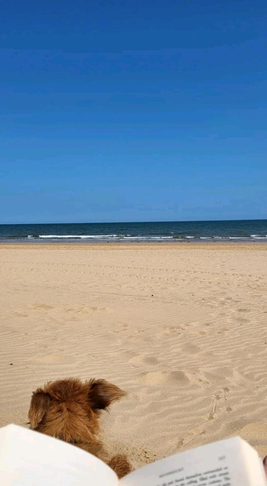 Holiday home The Salty Sea Dog - Dog Friendly And 2 Minutes Walk To The Beautiful, Golden *